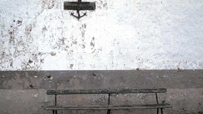 What Details Are Displayed Inside The 99Exch Record Panel?